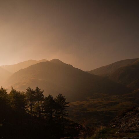 A stylised photograph of the Welsh mountains, dark and brooding with golden light and woodland in the foreground.